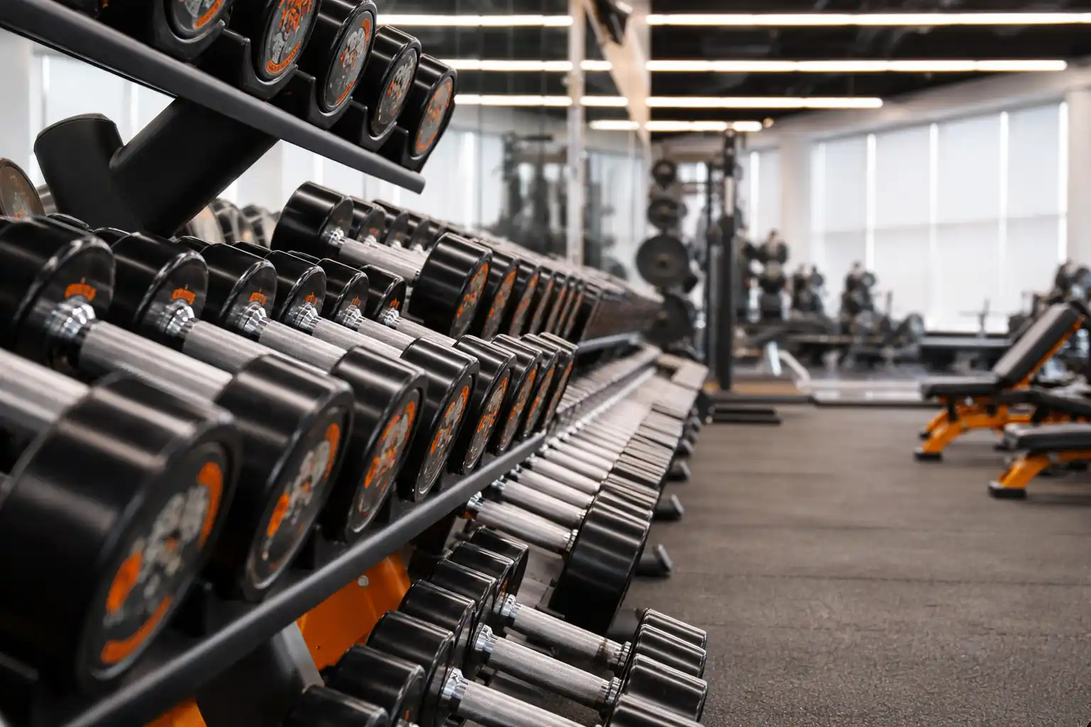 Clean Modern Gym